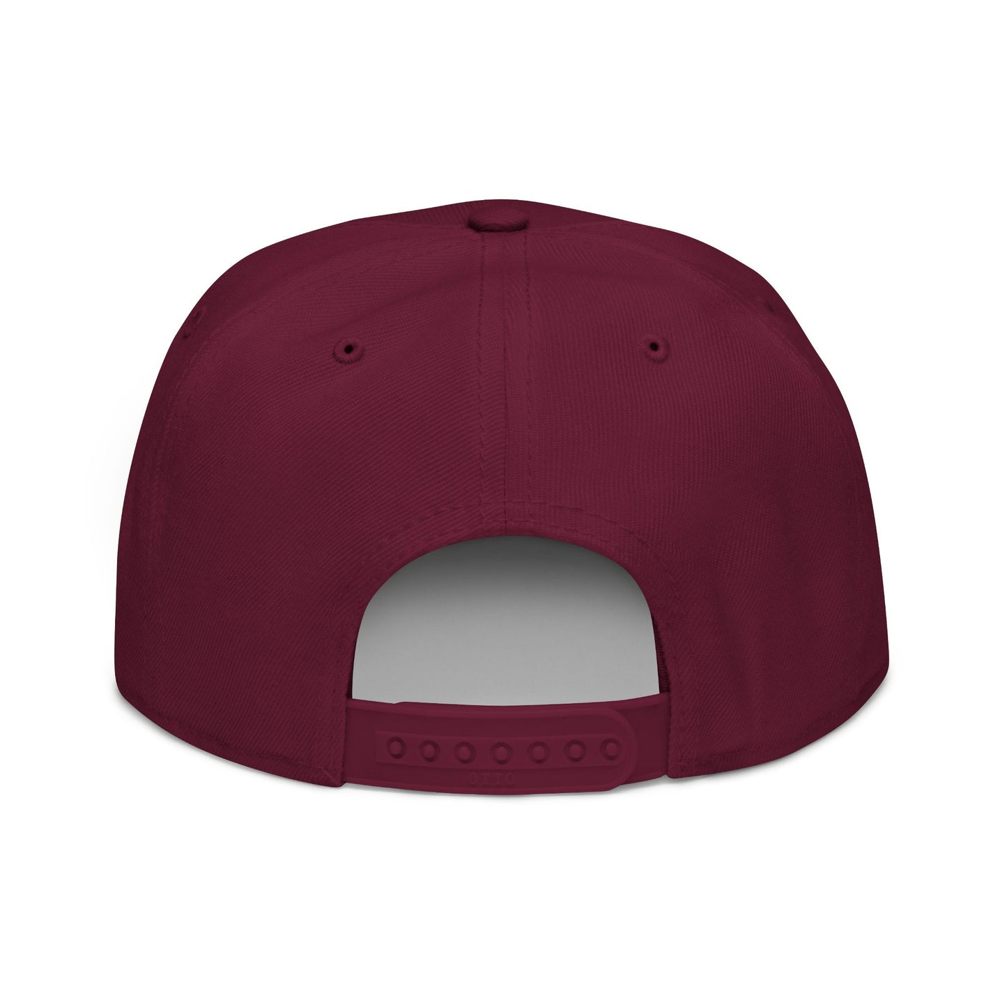 Embroidered Snapback Cap | Trendy Streetwear Hat | Gift for Him, Birthday Accessory, Casual Style, Fun Sayings Cap