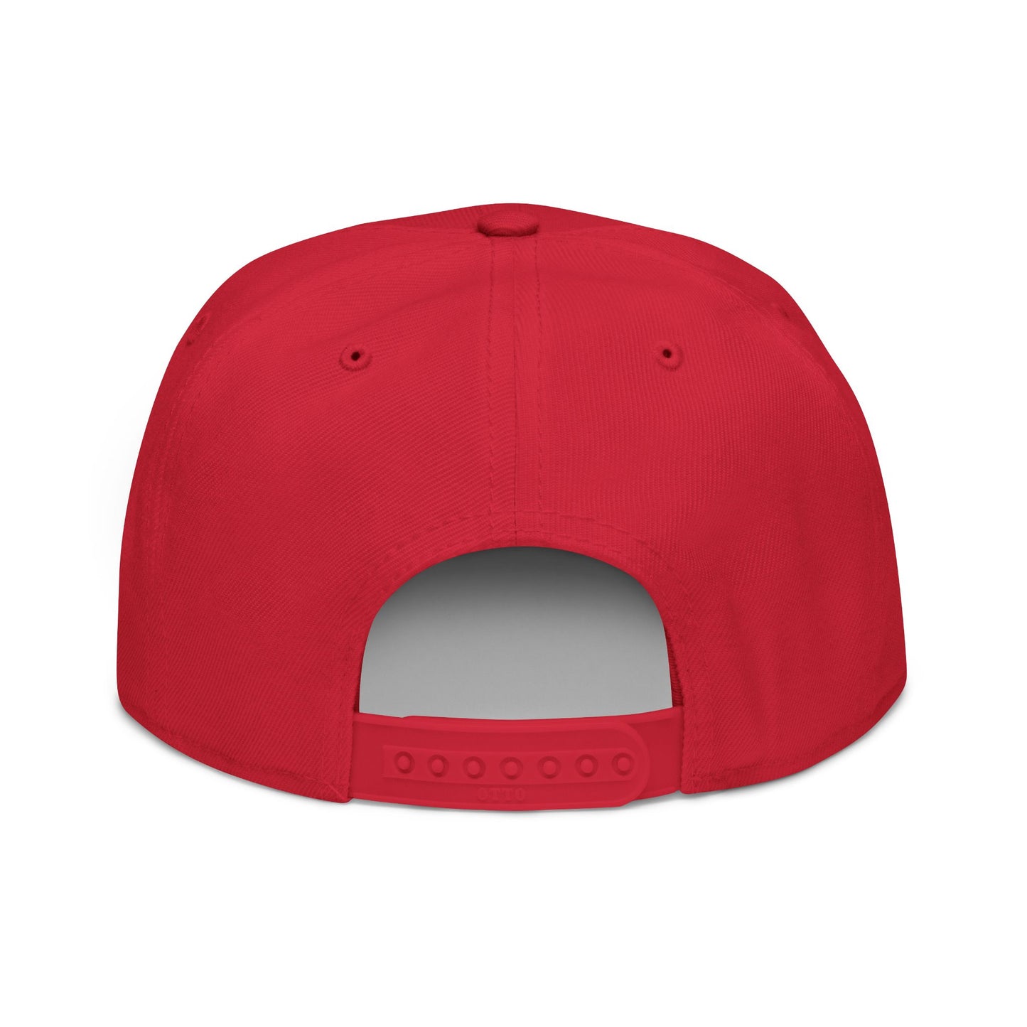 Embroidered Snapback Cap | Trendy Streetwear Hat | Gift for Him, Birthday Accessory, Casual Style, Fun Sayings Cap
