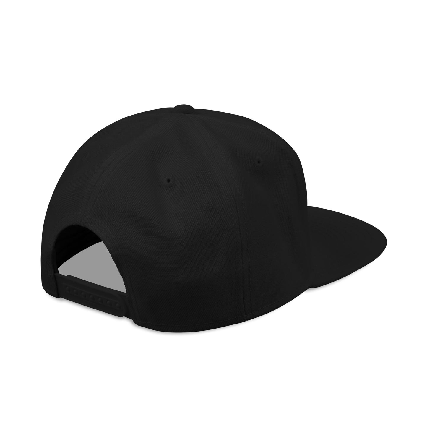 Embroidered Snapback Cap | Trendy Streetwear Hat | Gift for Him, Birthday Accessory, Casual Style, Fun Sayings Cap